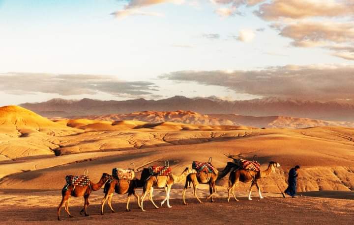1 Day trip from Marrakech to Agafay Desert, Morocco Excursions from Marrakech, Best day tours company, Morocco 4u tours excursions, Agafay visit