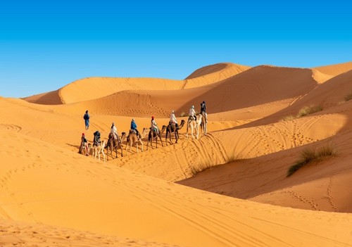 8 days Tangier to Marrakech desert trip